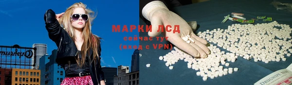 амф Арсеньев