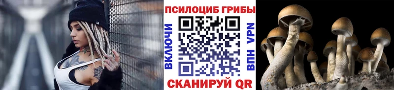 blacksprut tor  Сургут  Галлюциногенные грибы прущие грибы 